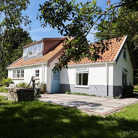 Cottage Duinroos - Dune Rose Oostvoorne Kültér fotó
