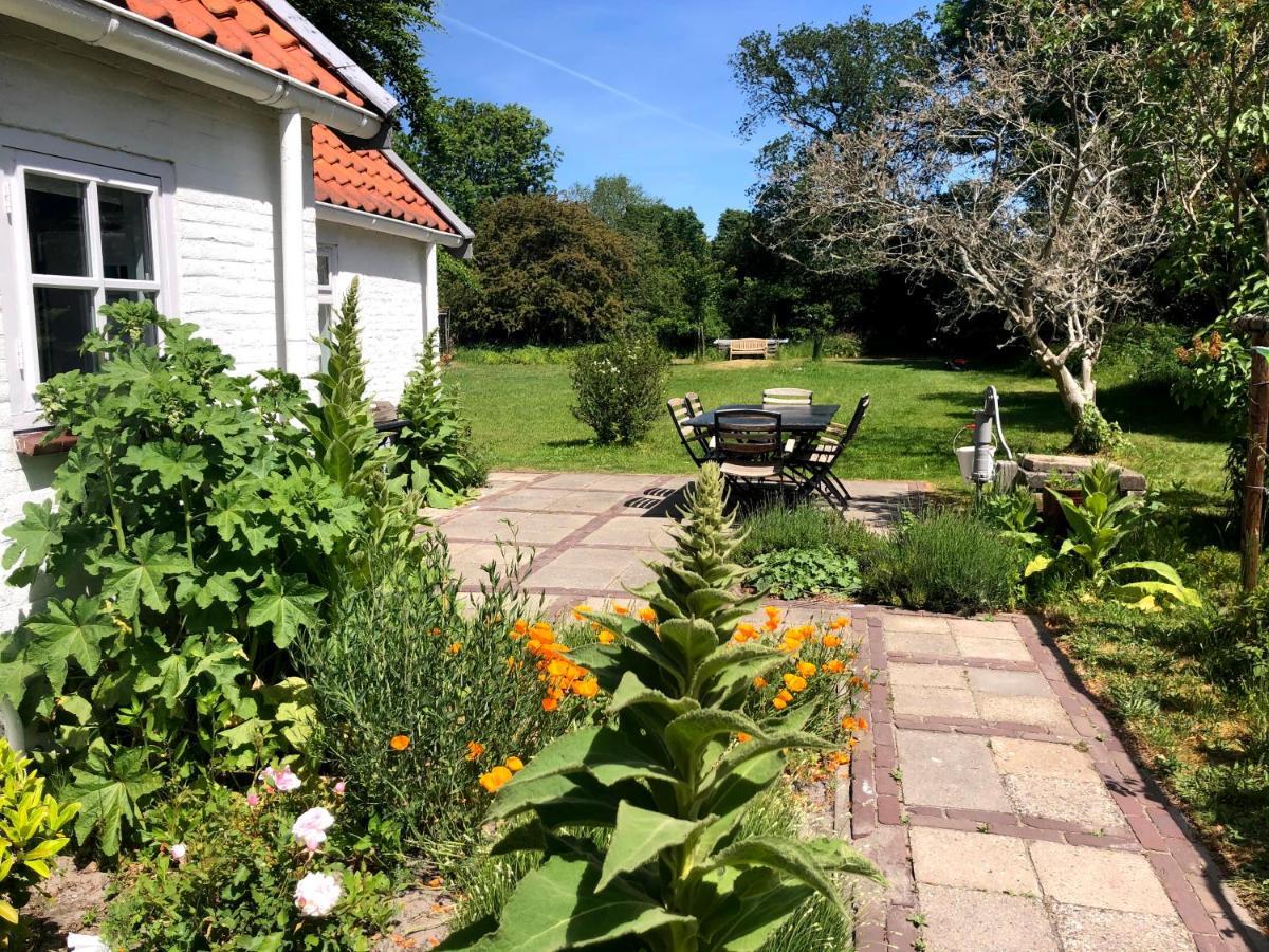 Cottage Duinroos - Dune Rose Oostvoorne Kültér fotó