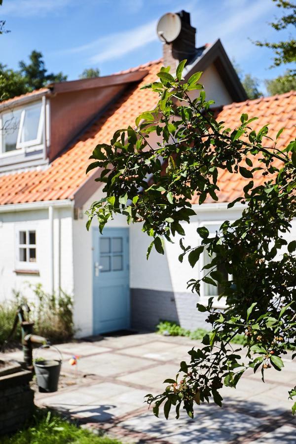 Cottage Duinroos - Dune Rose Oostvoorne Kültér fotó