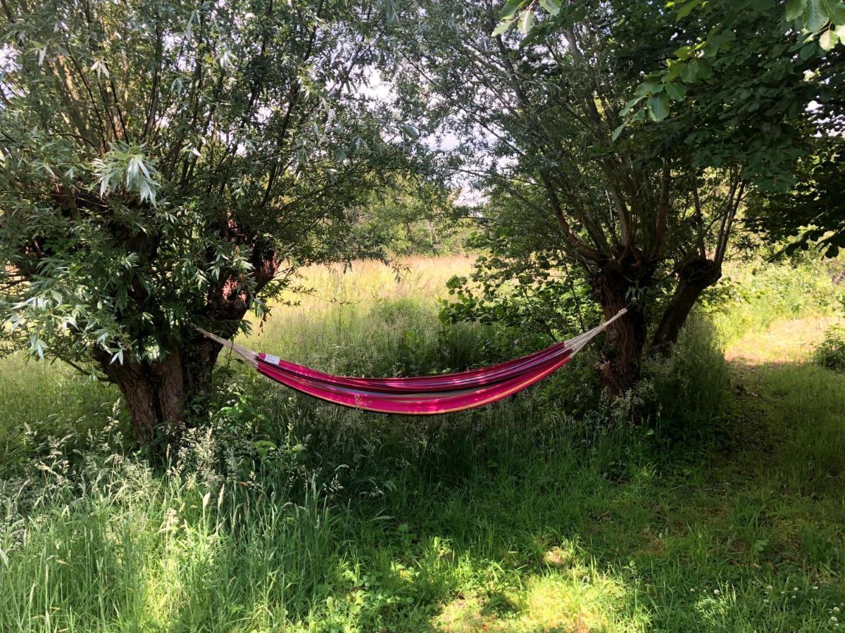 Cottage Duinroos - Dune Rose Oostvoorne Kültér fotó